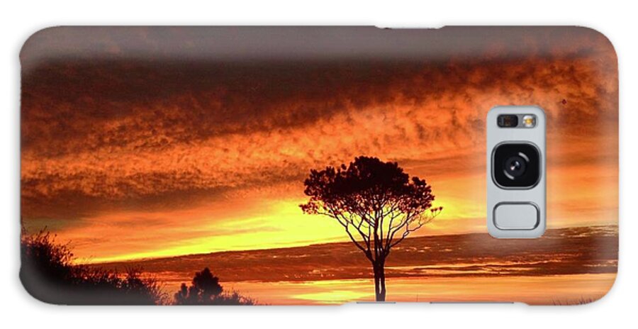 Landscape Galaxy Case featuring the photograph Lone Pine 1 by Michael Stothard