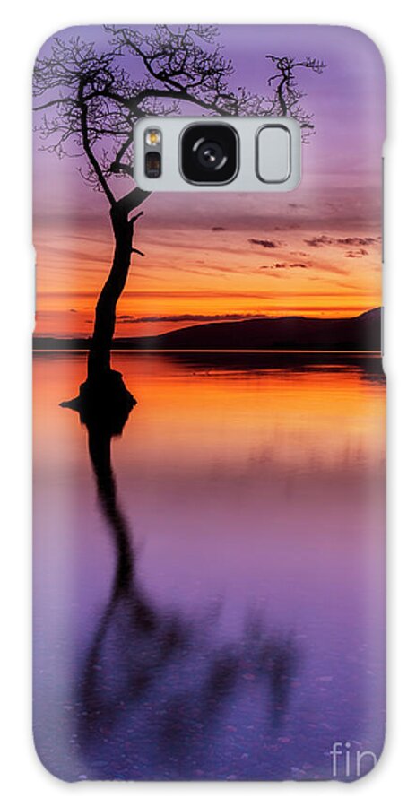 Loch Lomond Galaxy Case featuring the photograph Lone tree reflections at Milarrochy Bay, Loch Lomond, Scotland by Neale And Judith Clark