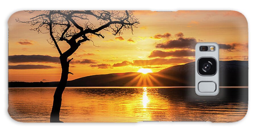 Loch Lomond Galaxy Case featuring the photograph Lone tree sunset starburst at Milarrochy Bay, Loch Lomond, Scotland by Neale And Judith Clark