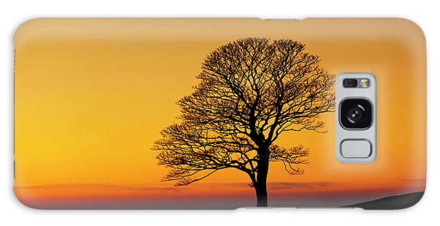 One Galaxy Case featuring the photograph Lone winter tree at Sunset by Neale And Judith Clark