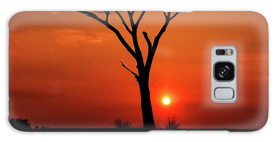 Lonely Sunset Galaxy Case featuring the photograph Lonely Sunset by Scott Olsen