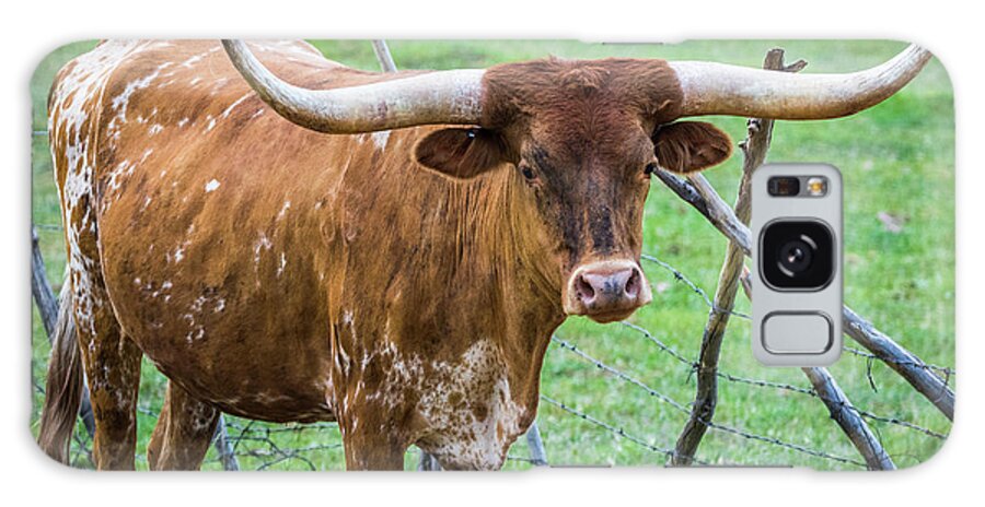 Longhorn Galaxy Case featuring the photograph Longhorn #1 by Vincent Bonafede