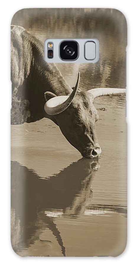 Texas Longhorns Wall Art Galaxy Case featuring the photograph longhorn cow Carley's Nirvana in the water by Cathy Valle