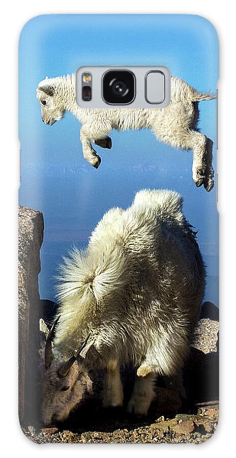 Mountain Goat Galaxy S8 Case featuring the photograph Look Ma, I'm Flying by Judi Dressler