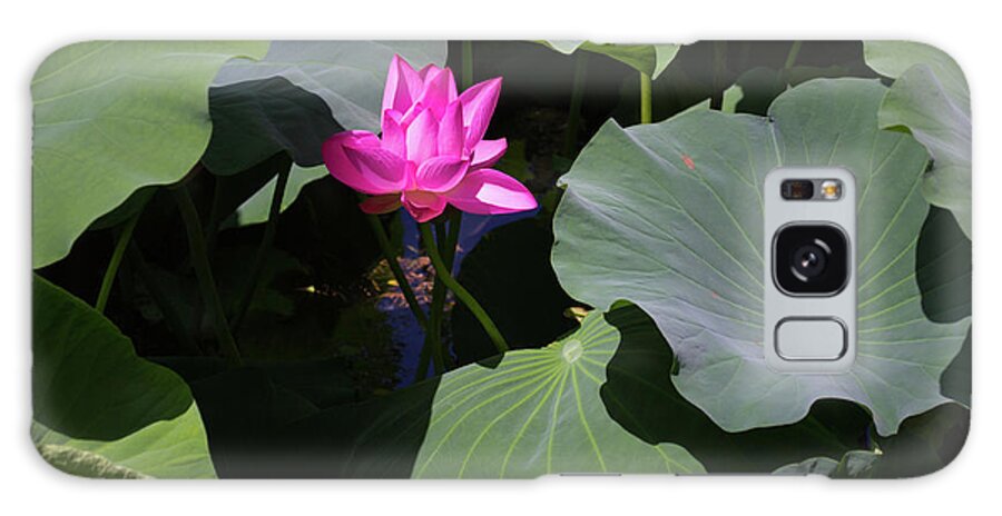 China Galaxy Case featuring the photograph Lotus Flower by Tara Krauss