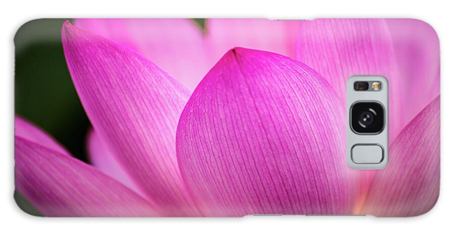 Kenilworth Gardens Galaxy Case featuring the photograph Lotus petal by Robert Miller