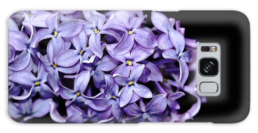 Lilacs Galaxy Case featuring the photograph Love In Lilac by Debbie Oppermann