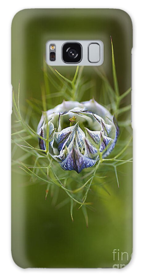 Nigella Galaxy Case featuring the photograph Love In The Mist Round Bud by Joy Watson