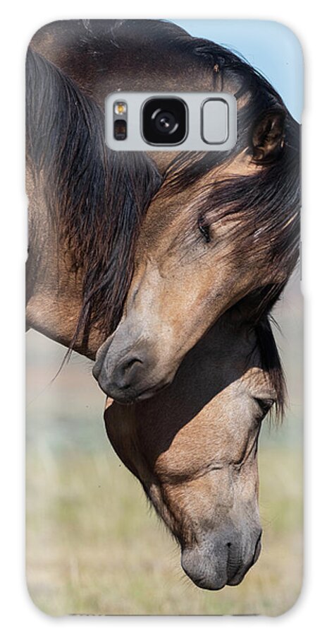 Horses Galaxy Case featuring the photograph Love by Mary Hone