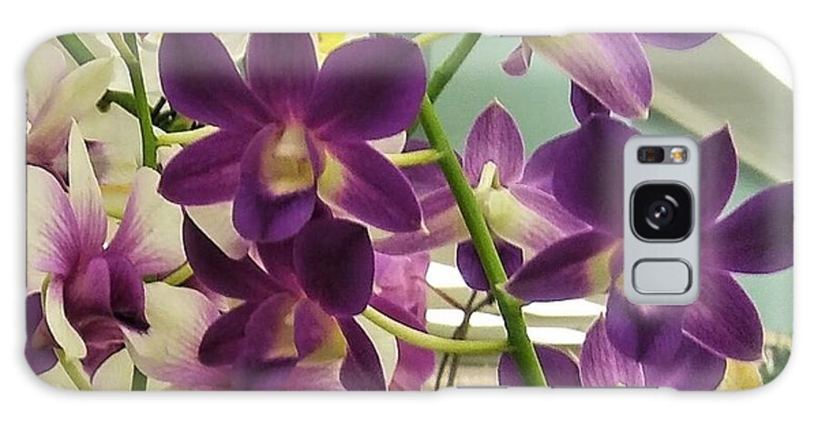 Purple Galaxy Case featuring the photograph Love These Orchids by Vickie G Buccini