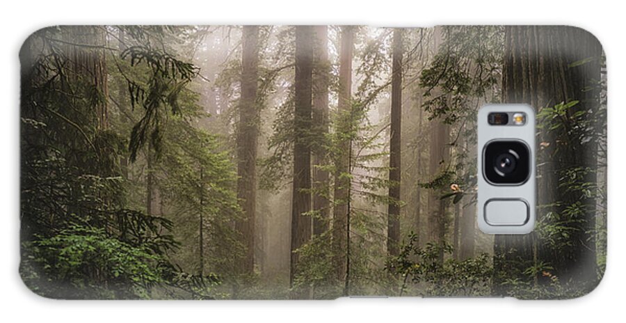 Redwoods Galaxy Case featuring the photograph Lovely, Dark, and Deep by Jason Roberts