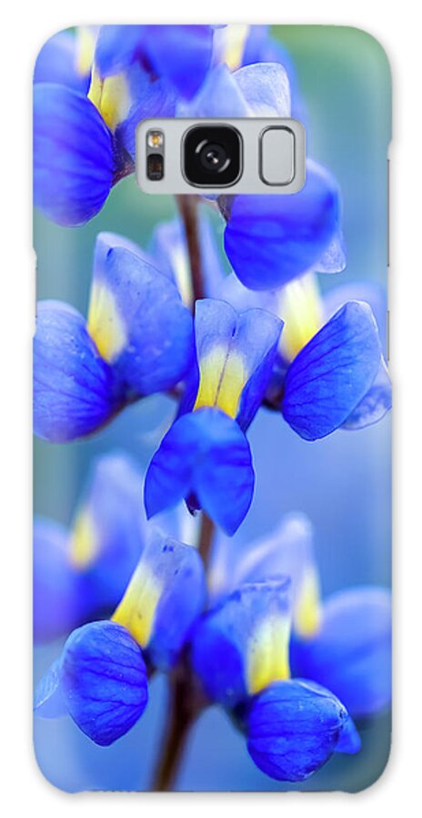 Lupine Galaxy Case featuring the photograph Lupine by Christopher Johnson