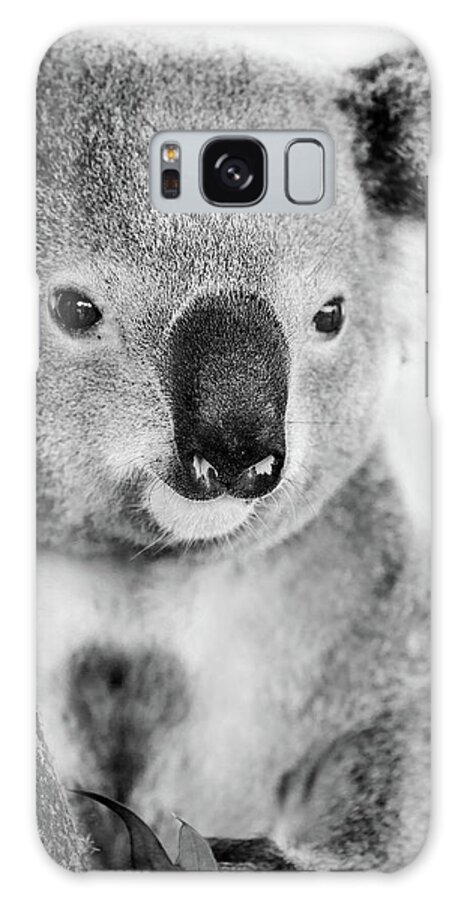 Australian Bush Koala Bear Galaxy Case featuring the photograph Luvabear by Az Jackson