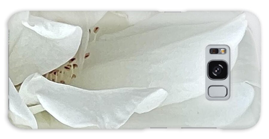 Macro White Rose Photograph Frame Black Pistils Brown Petals Grey Pollen Galaxy Case featuring the digital art Macro white Rose by Kathleen Boyles