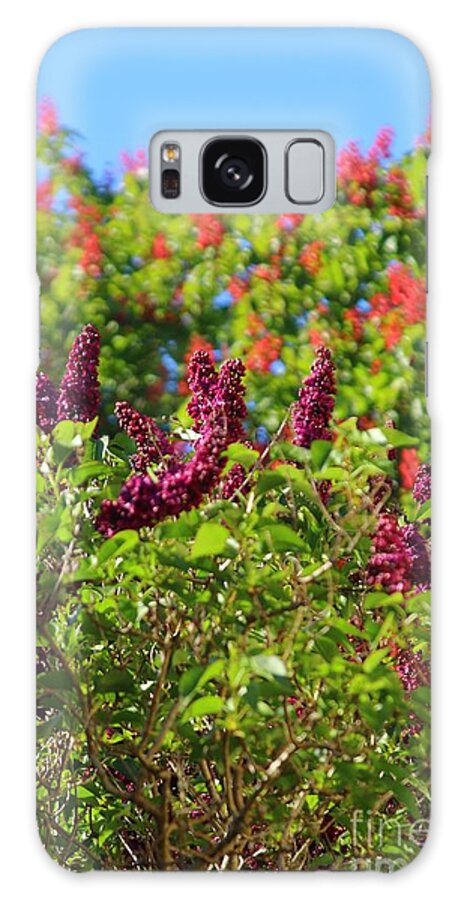 Lilac Galaxy Case featuring the photograph Magenta Lilac by Kimberly Furey