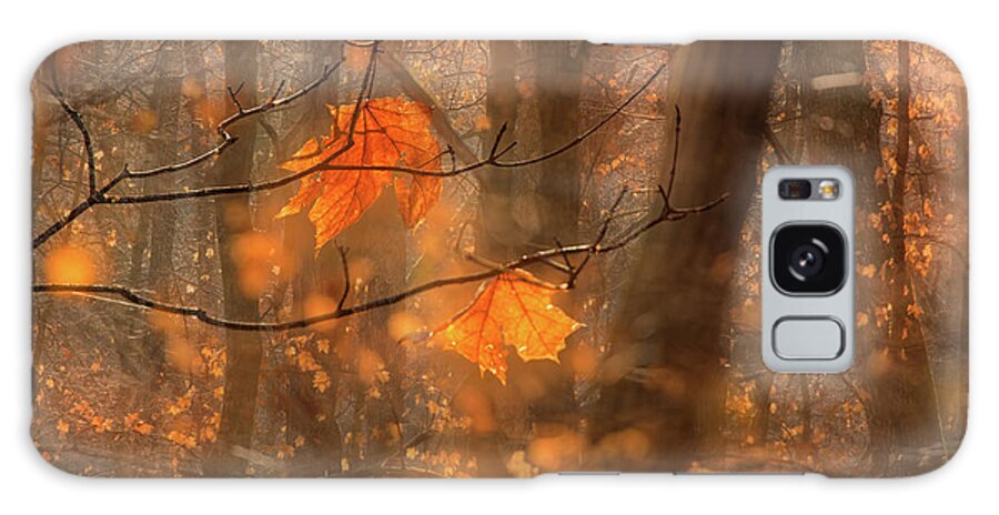 Fall Galaxy Case featuring the photograph Magic Forest by Robert Charity