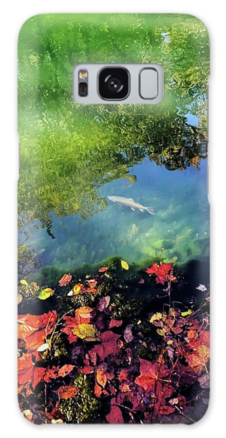 Maramec Springs Mo Galaxy Case featuring the photograph Magic of Maramec Springs by Donna Carrillo