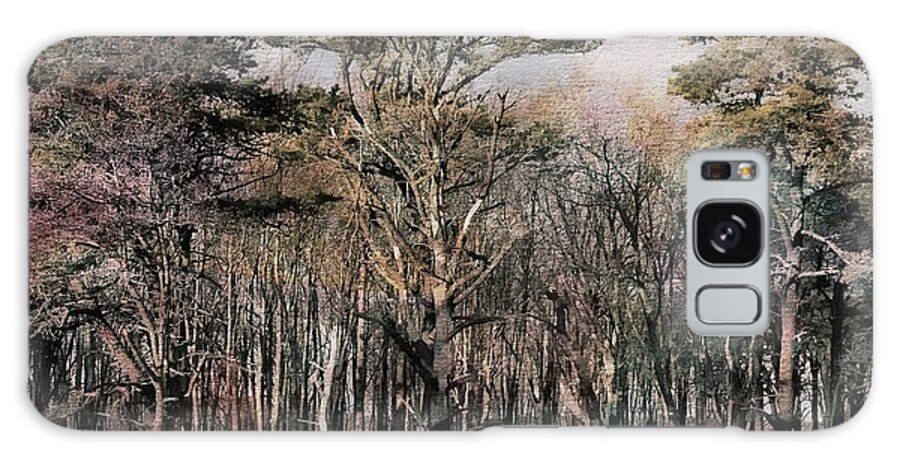 Nature Galaxy Case featuring the photograph Maine Forest by Marcia Lee Jones