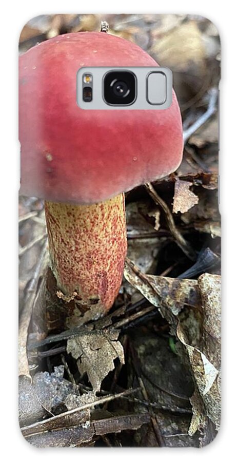 Mushroom Galaxy Case featuring the photograph Majestic Mushrooms #98 by Anjel B Hartwell