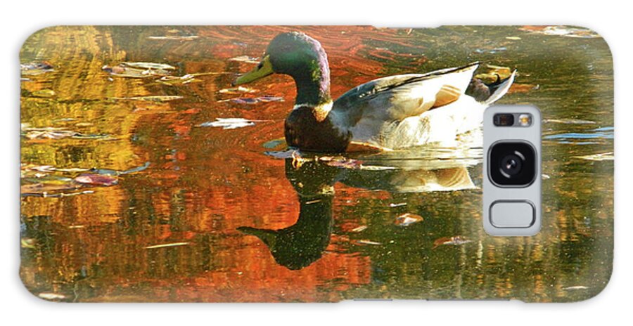Autumn Galaxy Case featuring the photograph Mallard Duck In the Fall by Emmy Marie Vickers