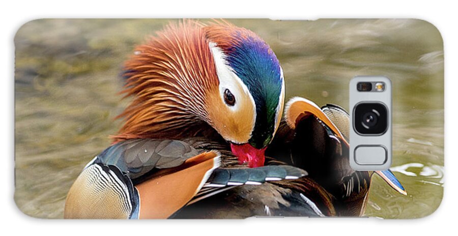 Mandarin Ducks Galaxy Case featuring the photograph Mandarin Duck Preening Feathers by Judi Dressler