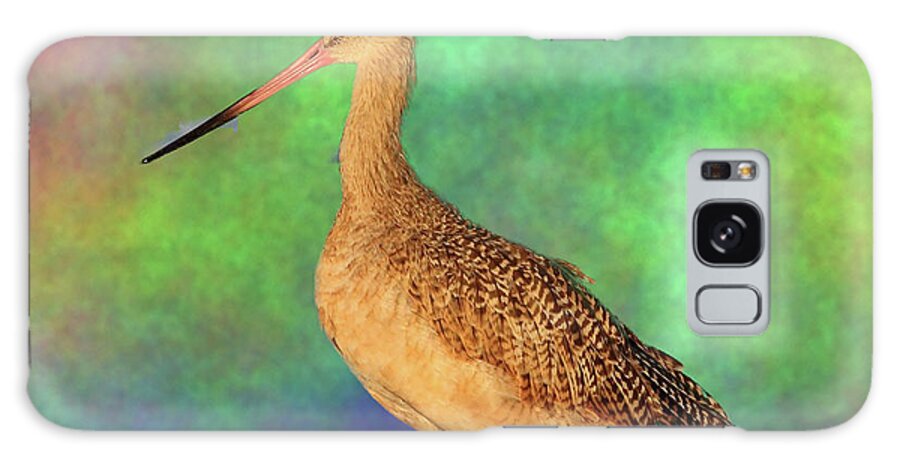 Marbled Godwit Galaxy Case featuring the photograph Marbled Godwit by Mingming Jiang