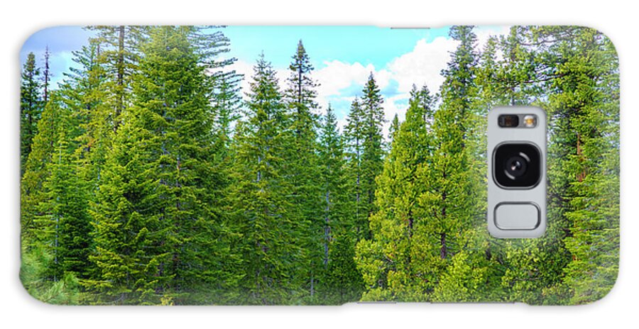 Sequoia Trees Galaxy Case featuring the photograph Mariposa Grove in Yosemite 2 by Lindsay Thomson