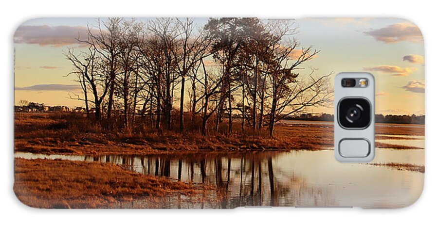 Wells Galaxy Case featuring the photograph Marsh on Drakes Island Road by Lennie Malvone