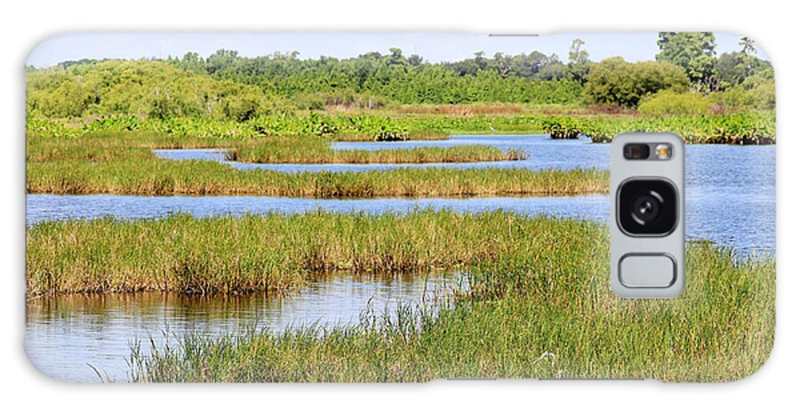 Marsh Galaxy Case featuring the photograph Marshes Of Florida by Diann Fisher