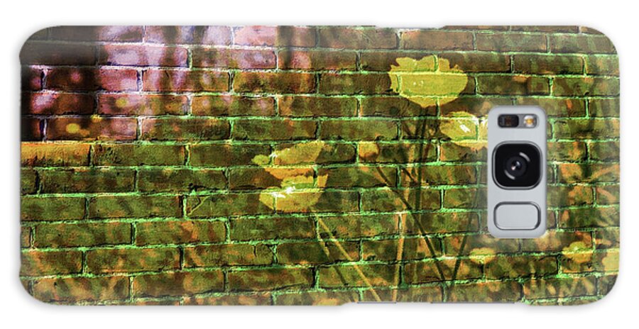 Affinity Photo Galaxy Case featuring the photograph Meadow flowers on brick wall by Pics By Tony