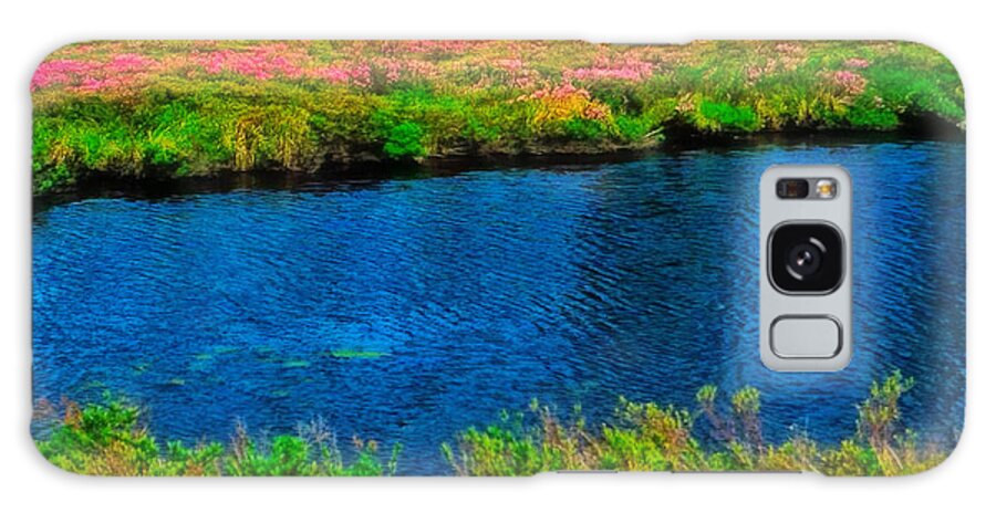 Water Galaxy Case featuring the photograph Meadow Stream by Carol Randall