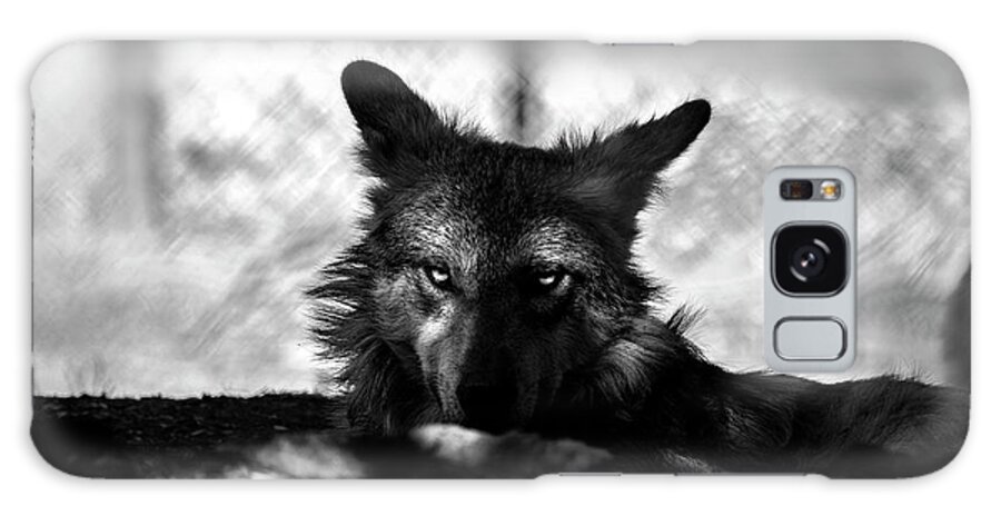 Mexican Galaxy Case featuring the photograph Mexican Gray Wolf - 2 - BW by Anthony Jones