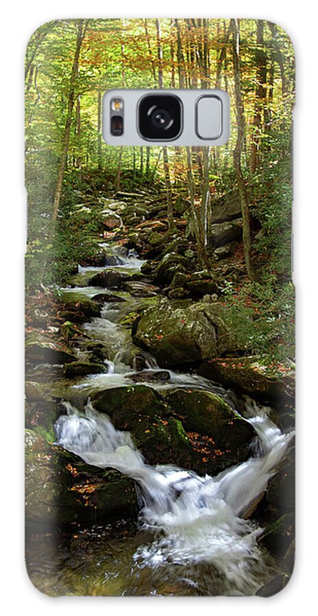 Creek Galaxy Case featuring the photograph Middle Prong by Gina Fitzhugh