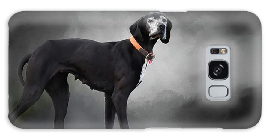 Great Dane Galaxy Case featuring the photograph Midnight Walk by Eva Lechner