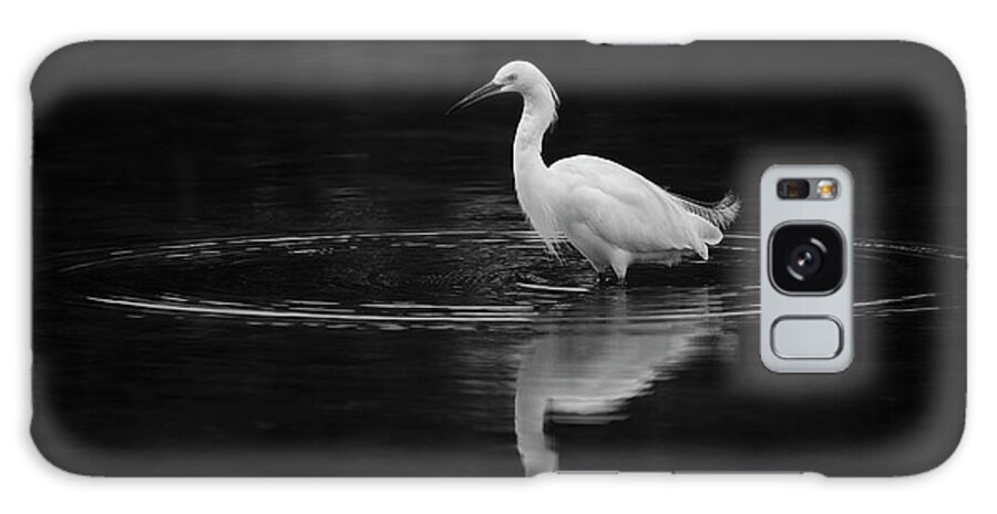 San Diego Galaxy Case featuring the photograph Mission Bay Snowy Egret by William Dunigan