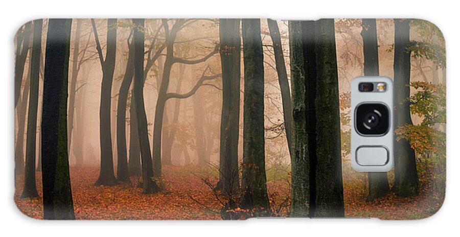 Balkan Mountains Galaxy Case featuring the photograph Misty Autumn Forest by Evgeni Dinev