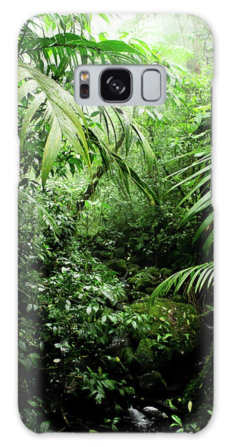 #faatoppicks Galaxy Case featuring the photograph Misty Rainforest Creek by Nicklas Gustafsson