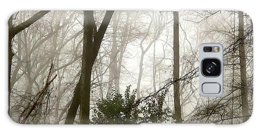 Galaxy Case featuring the photograph Misty Woods 2 by J Hale Turner