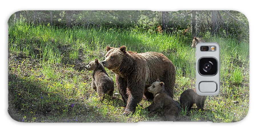 Wildlife Galaxy Case featuring the photograph Mom and the Quads by Sandra Bronstein