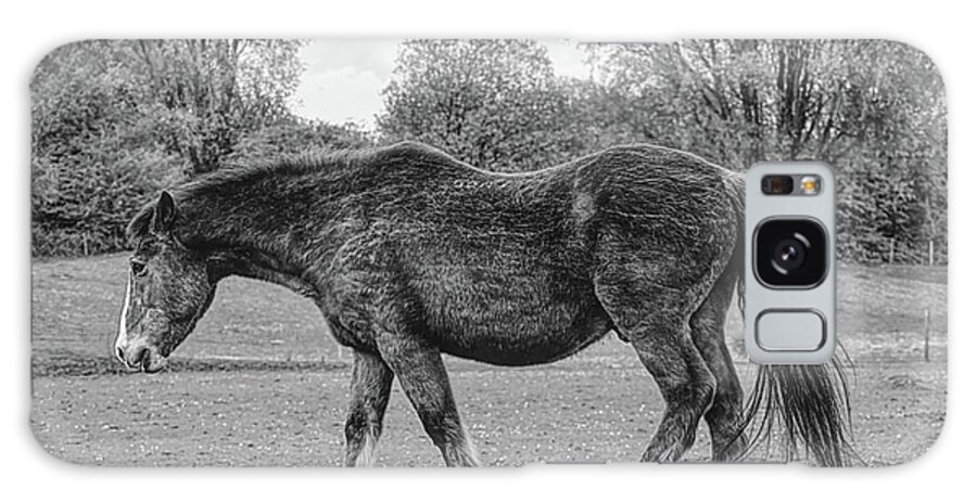 Digital Art Galaxy Case featuring the photograph Monochrome of a Horse at Chadderton Hall Park Manchester uk by Pics By Tony