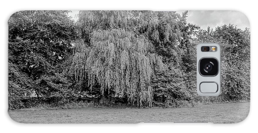 Monochrome Galaxy Case featuring the photograph Monochrome of a weeping willow tree by Pics By Tony