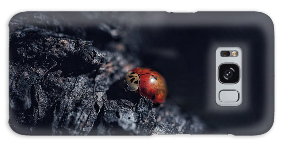 Mountain Galaxy Case featuring the photograph Moody Lady Bug by Go and Flow Photos