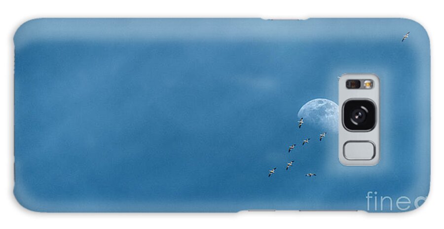 Moon Galaxy Case featuring the photograph Moon and Snow Geese by Pamela Dunn-Parrish