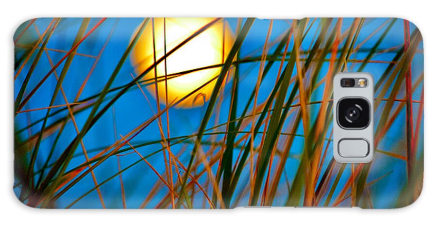 Moon Galaxy Case featuring the photograph Moon Splendor in the Grass by Debra Banks