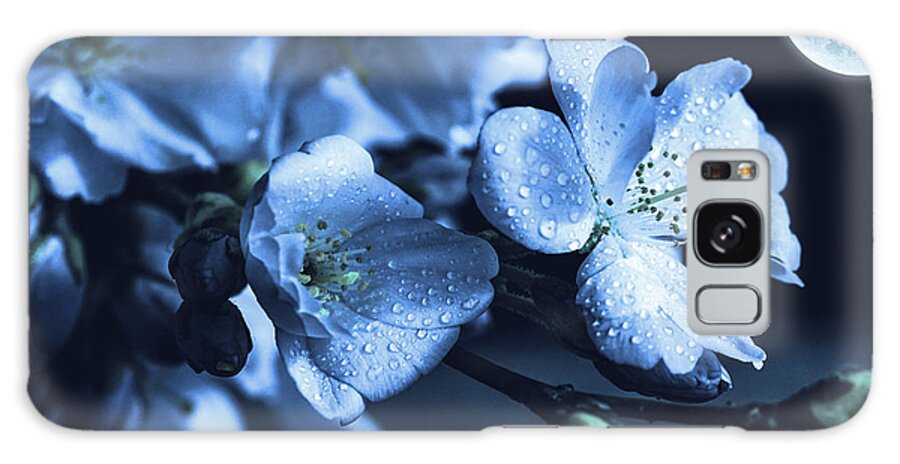 Moonlight Galaxy Case featuring the photograph Moonlit Night In The Blooming Garden by Alex Mir