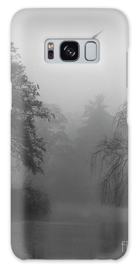 Misty Galaxy Case featuring the photograph Morning Flight by Daniel M Walsh