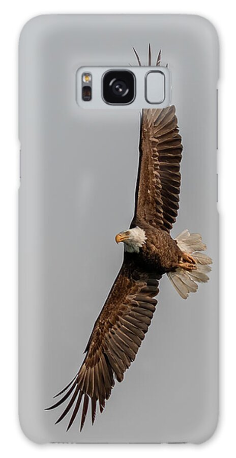 Eagle Galaxy Case featuring the photograph Morning Sun Eagle by Randy Robbins