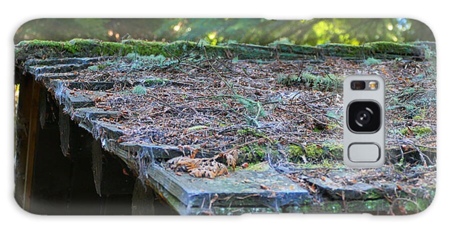 Fstop101 Forest Moss Pine Needs Abstract Nature Green Brown Galaxy Case featuring the photograph Moss and Pine Needles by Geno