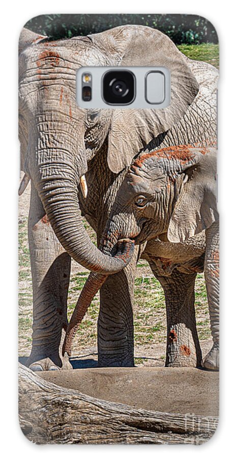 Animals Galaxy S8 Case featuring the photograph Mother and Daughter Lunch by David Levin