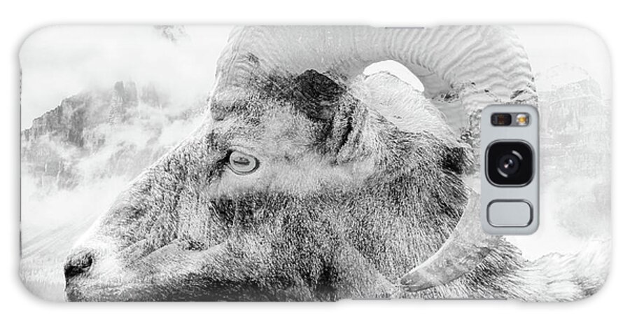 Bighorn Sheep Galaxy Case featuring the photograph Mountain Bighorn Ram by Dan Sproul